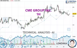 CME GROUP INC. - 1H