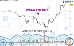 WAGA ENERGY - 1H