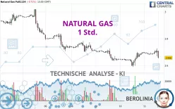 NATURAL GAS - 1 Std.