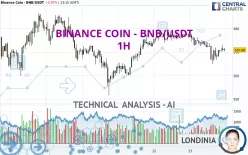 BINANCE COIN - BNB/USDT - 1H