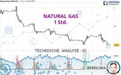 NATURAL GAS - 1 Std.