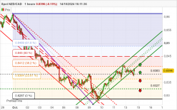 NZD/CAD - 1H