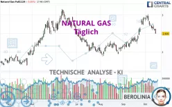 NATURAL GAS - Täglich