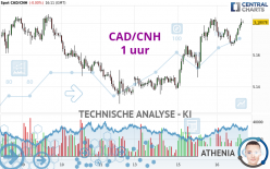 CAD/CNH - 1 Std.