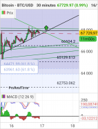 BITCOIN - BTC/USD - 30 min.