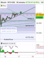 BITCOIN - BTC/USD - 30 min.