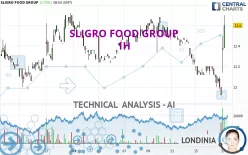 SLIGRO FOOD GROUP - 1H