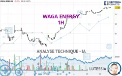 WAGA ENERGY - 1H