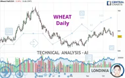 WHEAT - Daily