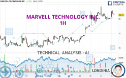 MARVELL TECHNOLOGY INC. - 1H