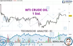 WTI CRUDE OIL - 1 Std.