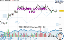 DOGECOIN - DOGE/USD - 1 uur