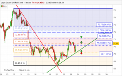 WTI CRUDE OIL - 1H