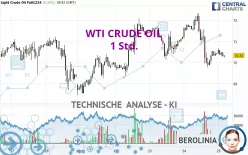 WTI CRUDE OIL - 1 Std.