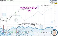 WAGA ENERGY - 1H