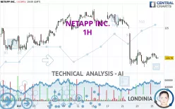 NETAPP INC. - 1H