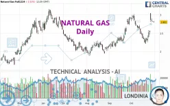 NATURAL GAS - Dagelijks