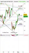 WTI CRUDE OIL - 4H