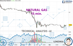 NATURAL GAS - 15 min.