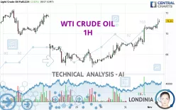 WTI CRUDE OIL - 1H