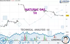 NATURAL GAS - 1 uur