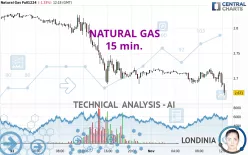 NATURAL GAS - 15 min.