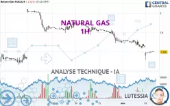 NATURAL GAS - 1 uur