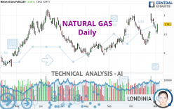 NATURAL GAS - Diario