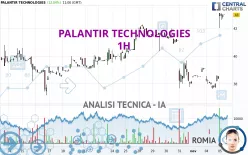 PALANTIR TECHNOLOGIES - 1 uur