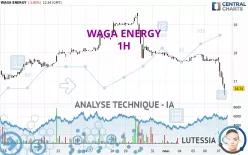 WAGA ENERGY - 1H