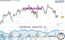 WTI CRUDE OIL - 1H