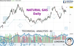 NATURAL GAS - Dagelijks