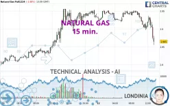 NATURAL GAS - 15 min.