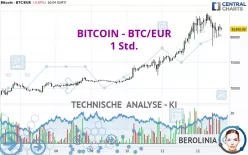 BITCOIN - BTC/EUR - 1 Std.