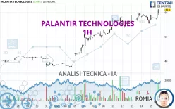 PALANTIR TECHNOLOGIES - 1 uur