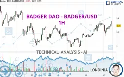 BADGER DAO - BADGER/USD - 1H