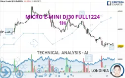 MICRO E-MINI DJ30 FULL1224 - 1H