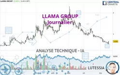 LLAMA GROUP - Journalier