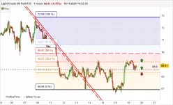 WTI CRUDE OIL - 1H