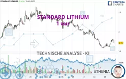 STANDARD LITHIUM - 1 uur