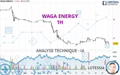 WAGA ENERGY - 1H