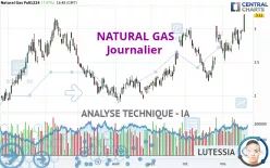 NATURAL GAS - Journalier