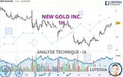 NEW GOLD INC. - 1H