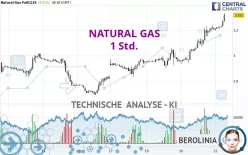 NATURAL GAS - 1 Std.