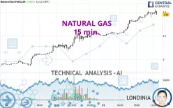 NATURAL GAS - 15 min.