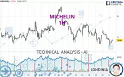 MICHELIN - 1 Std.