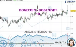 DOGECOIN - DOGE/USDT - 1 uur