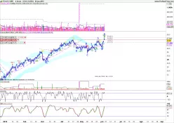 TELUS CORP. - 4H