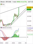 BITCOIN - BTC/USD - Monatlich