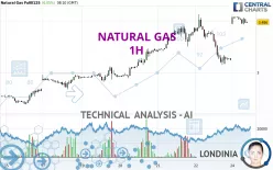 NATURAL GAS - 1 uur